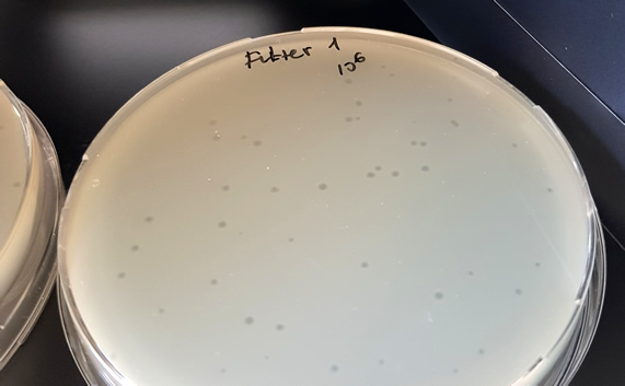 Filtereffizenz-Prüfung mit Gelatine-Filter